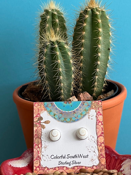 Shiva Shell Earrings Sterling Studs