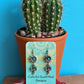 Cactus earrings