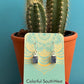 Kyanite earrings sterling